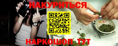 Альфа ПВП Будённовск