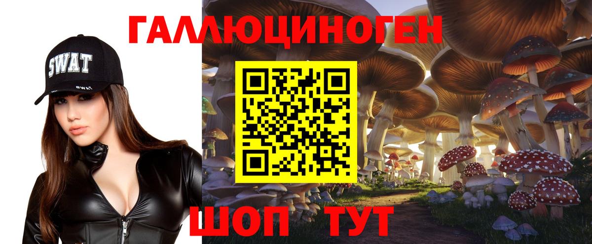 Галлюциногенные грибы Cubensis Кропоткин